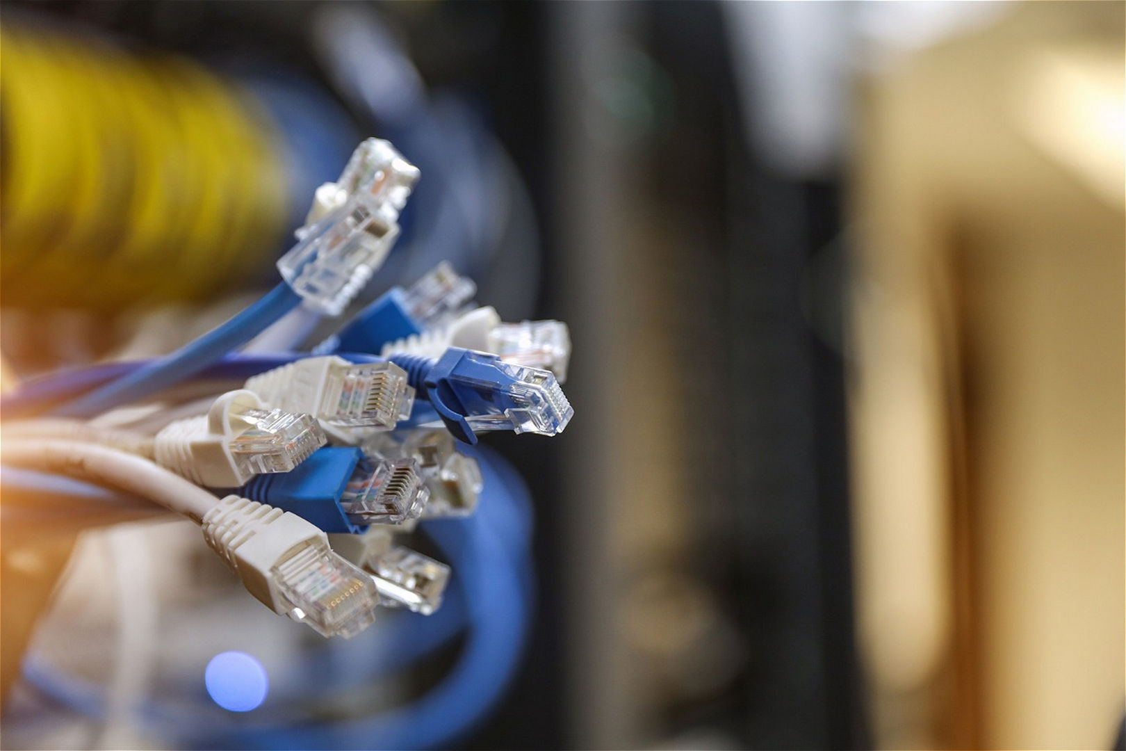 shutterstock_2549248239